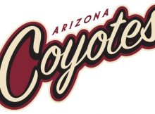NHL Betting USA