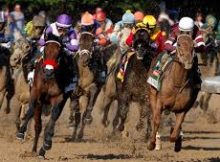 Kentucky derby odds